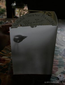 weetoot-nuthatch